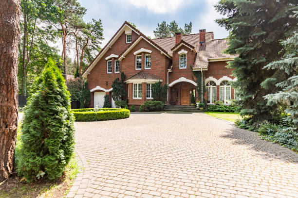 Best Residential Paver Driveway  in Palestine, TX